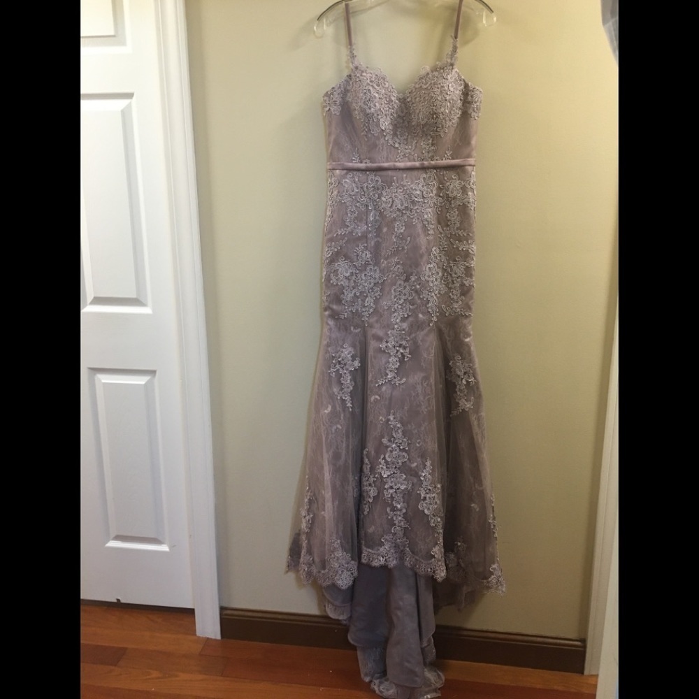 Hebeos Sheath Spaghetti Lace Tulle Prom Gown - Picture 3 of 16